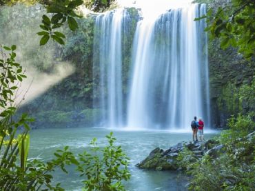 Whangarei Falls